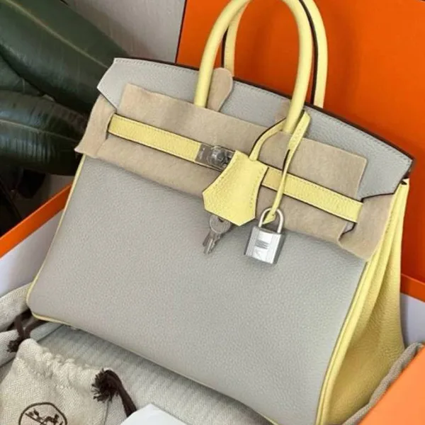 エルメス バーキン 25【Gris Perle & Jaune Poussin × S金具】h2571611