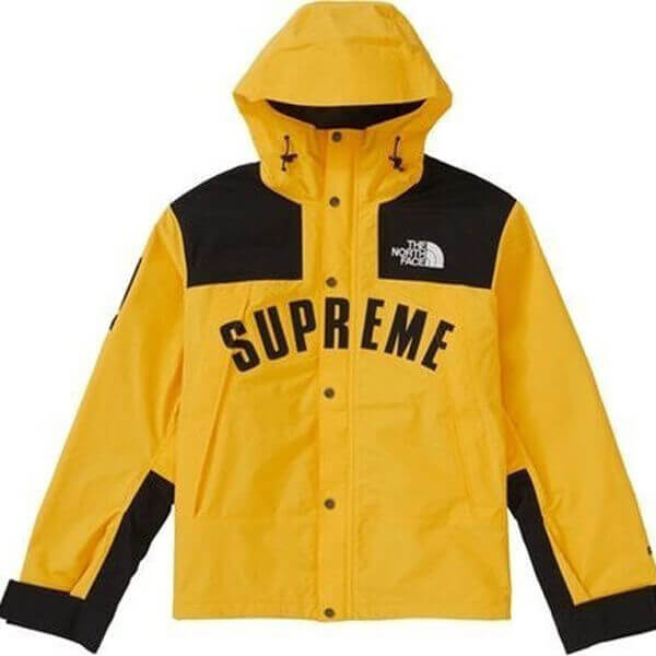 シュプリーム/ザ ノース フェイススーパーコピー アーク ロゴ マウンテン パーカ ノースフェイス X シュプリーム Arc Logo Mountain Parka SS19 WEEK 5