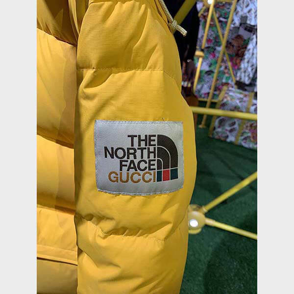 ノースフェイス × グッチ DOWN JACKET ダウンコート2色