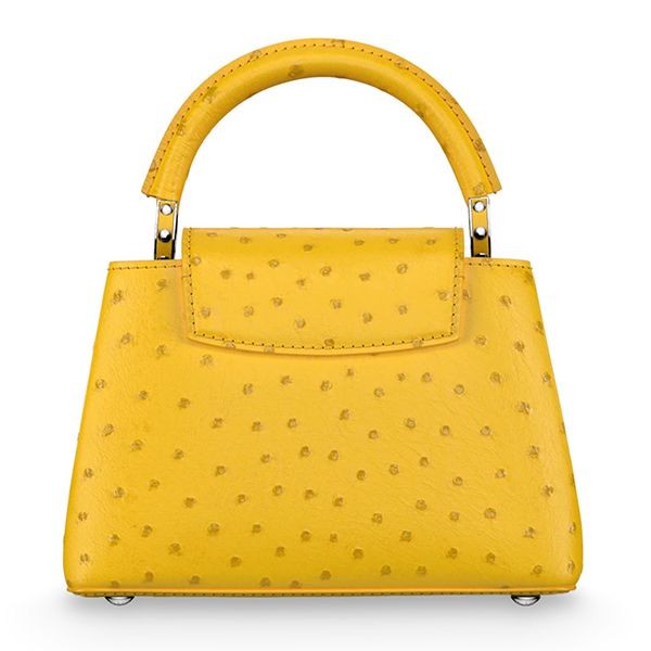 ルイヴィトン カプシーヌMINI オーストリッチ ショルダーバッグ 5色N96511