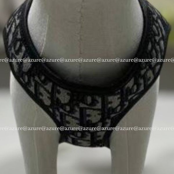 ディオール Tearsコレクション ペット 偽物ハーネス 犬  首輪4601RUYKY