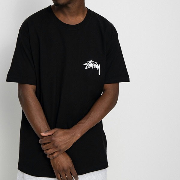 ステューシー ダイス tシャツ 偽物 FUZZY DICE TEE 半袖