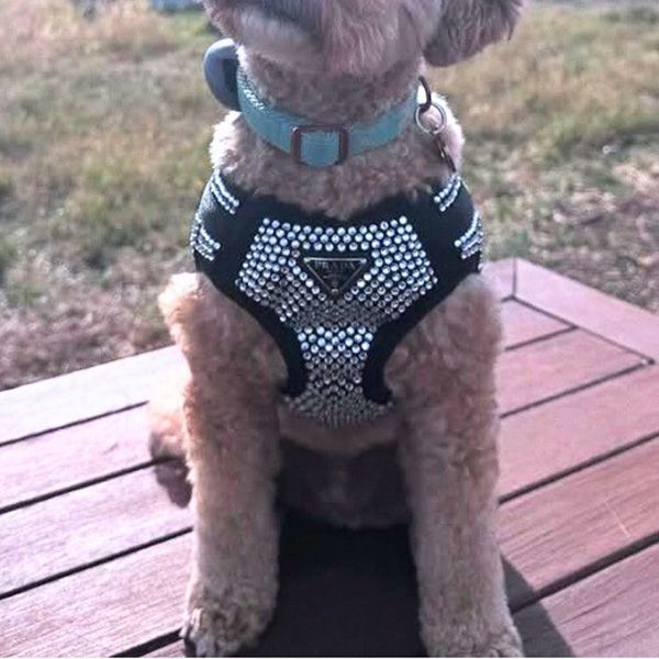 【お洒落★】プラダ クリスタルスタッズ 犬用ハーネス 偽物 ロゴ付き【25ans掲載】pd0219